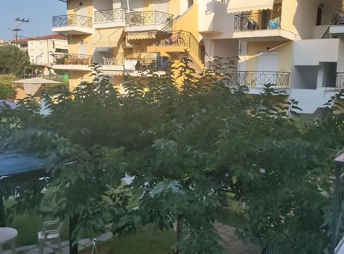 Kali View *