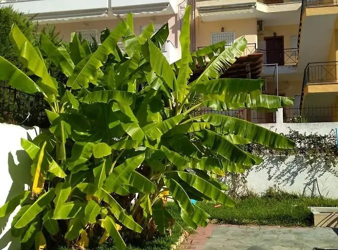 Kali View Kallithea (Chalkidiki)